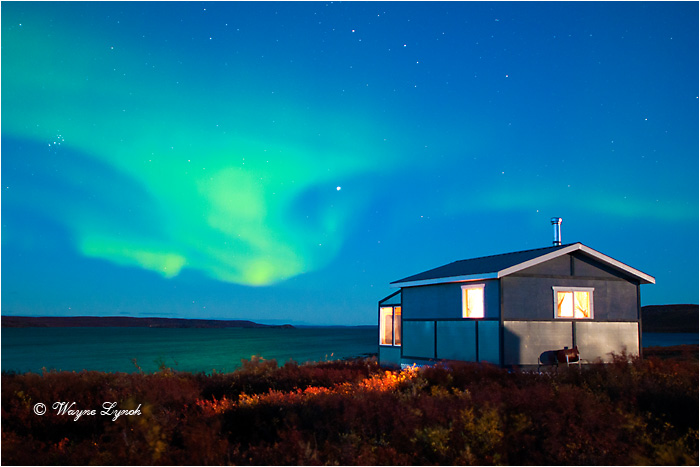 Aurora Borealis by Dr. Wayne Lynch &copy;